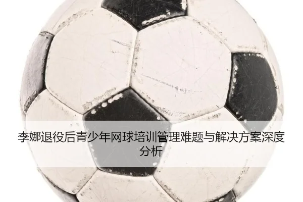 李娜退役后青少年网球培训管理难题与解决方案深度分析